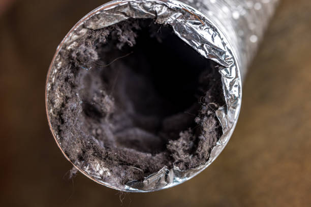 Best Ductwork Cleaning Services  in Derwood, MD