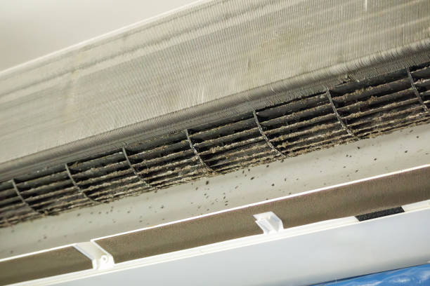 Best Air Duct Cleaning Near Me  in Derwood, MD